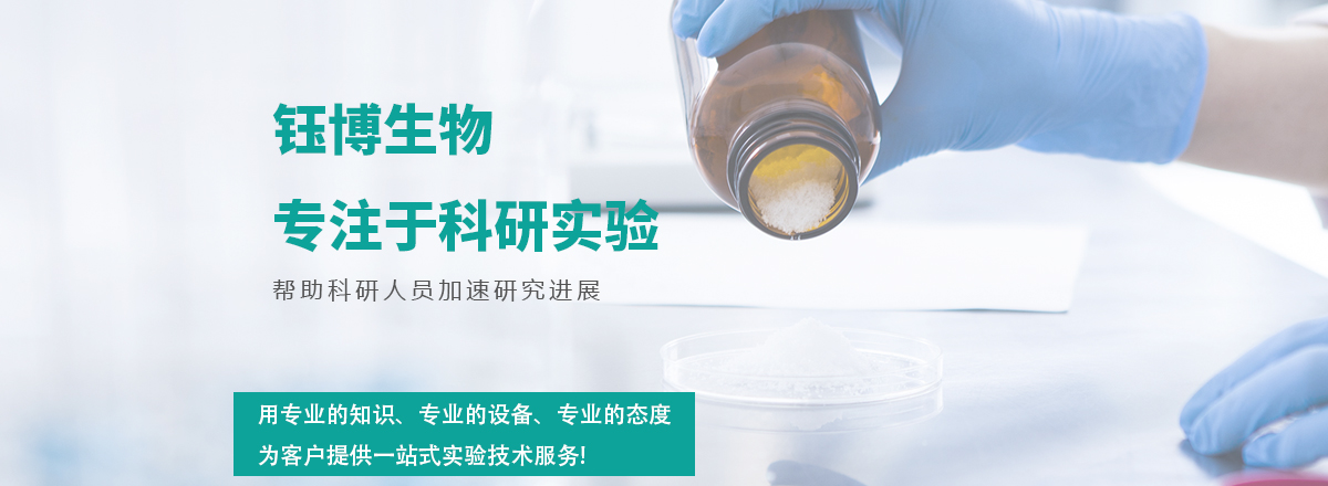 轮播图